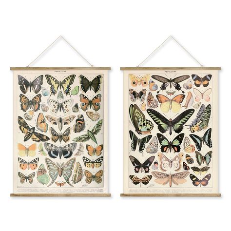 Butterflies Poster, Educational Decor, Cottagecore Room, Vintage Butterflies, Cottagecore Room Decor, Butterfly Nursery, Room Decor Aesthetic, Butterfly Poster, Apartment Bedroom Decor