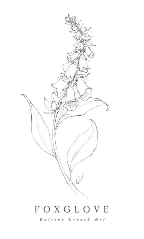 Long Flowers Drawing, Fox Glove Illustration, Katrina Crouch Flower, Dancing Flower Drawing, Foxglove Line Drawing, Fox Glove Flower Tattoos, Long Flower Drawing, Foxglove Sketch, Fox Gloves Flower