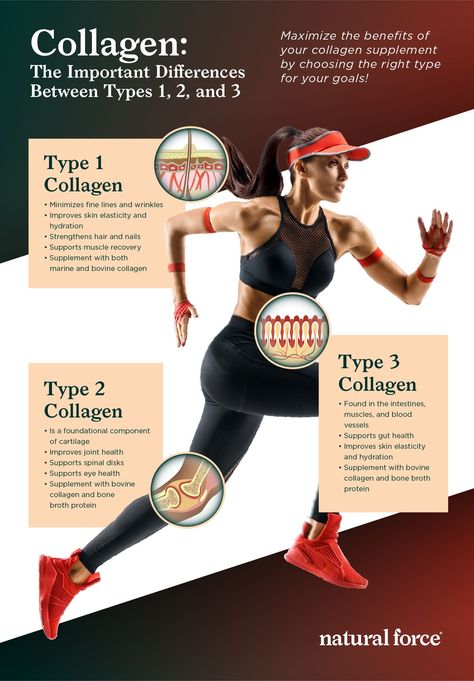 Collagen: The Important Differences Between Types 1, 2, and 3 Muscle Recovery Supplements, Health Benefits Of Collagen, Collagen Benefits, Collagen Supplements, Healthy Eyes, Collagen Powder, Healthy Joints, Collagen Peptides, Improve Skin Elasticity