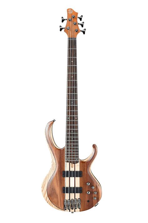 Ibanez Bass Guitar, Bass Guitar Art, Bass Guitar Accessories, Learn Bass Guitar, Rickenbacker Bass, Custom Bass Guitar, Custom Bass, Guitar Acoustic, Bass Amps