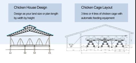 Layer chicken cage, chinachickencage.com Chicken Layer House Design, Chicken Rearing, Poultry Business, Layer Chicken, Poultry House, Poultry Cage, Sliding Door Design, Chicken Cages, Egg Production