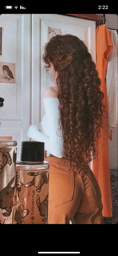 Long Natural Curly Hair, Brown Curly Hair, Curly Hair Photos, Curly Hair Women, Curly Hair Inspiration, Long Brown Hair, Penteado Cabelo Curto, 짧은 머리, Curly Hair Cuts