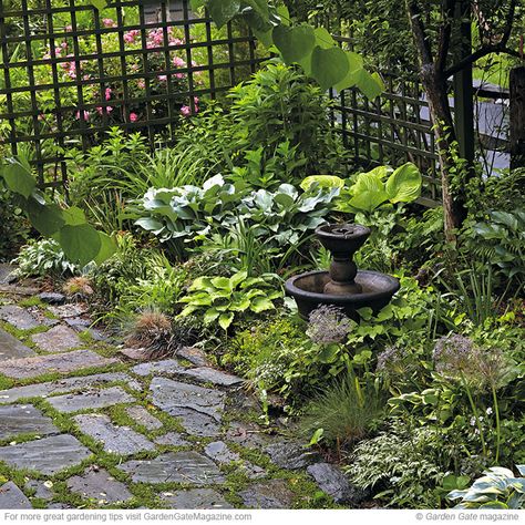 Wildlife Garden Design, Side Path, Hardscape Backyard, Apple Garden, Patio Fountain, Shade Garden Design, Garden Pathways, Hosta Gardens, Small Patio Garden