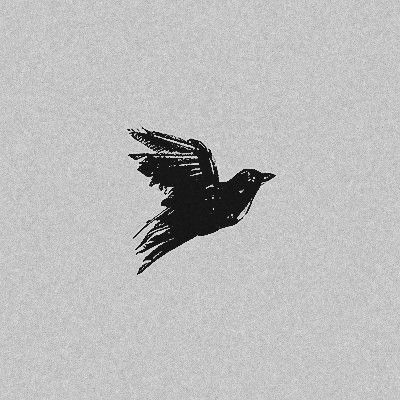 Mini Crow Tattoo, Mini Raven Tattoo, Tattoo Ideas Dark Academia, Crow Fine Line Tattoo, Dark Academia Tatoos Aesthetic, Raven Finger Tattoo, Tattoo Ideas Raven, Small Dark Academia Tattoo, 3 Crows Tattoo