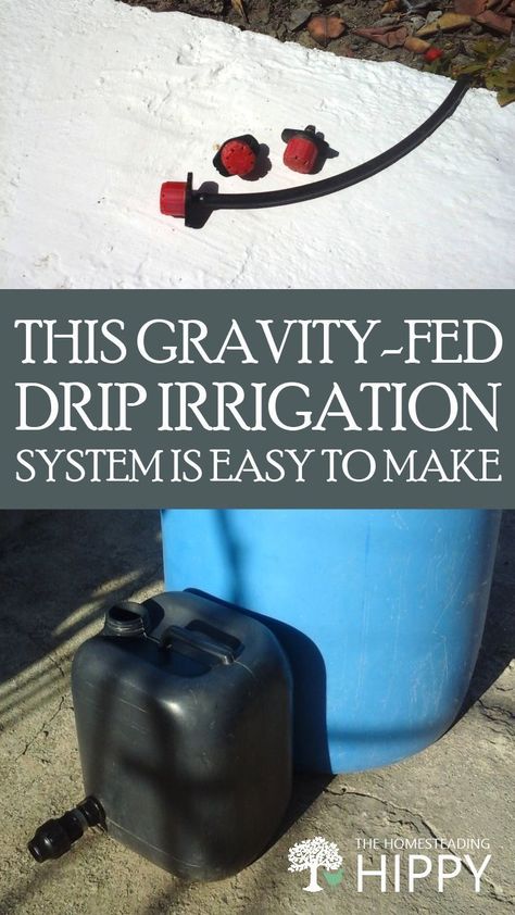 Why spend a ton of money on complicated drip irrigation systems, when you can make your own out of spare parts? #DIY #irrigation #farming #homestading #gardening Drip Line Irrigation, Diy Drip Irrigation System, Diy Irrigation, Irrigation System Design, Drip Watering System, Irrigation System Diy, Irrigation Diy, Drip Hose, Drip Irrigation Diy