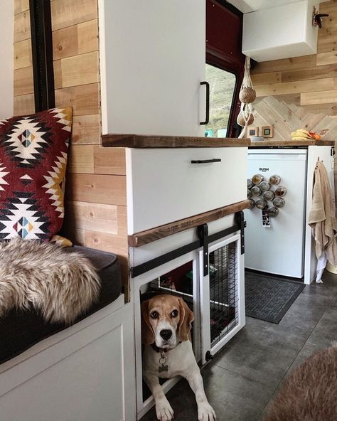 Dog Crate Ideas, Bus Ideas, Best Campervan, Crate Ideas, Caravan Renovation, Sprinter Van Conversion, Van Conversion Interior, Caravan Interior, Campervan Life