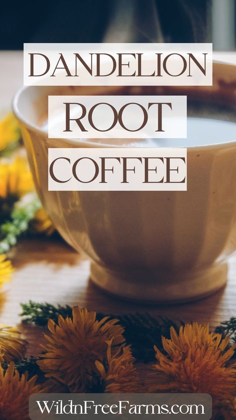 dandelion root coffee Herbal Tinctures Recipes, Dandelion Root Coffee, Medicinal Tea Recipes, Onion Benefits Health, Herbs For Chickens, Learning Herbs, Roasted Dandelion Root, Tinctures Recipes, Dandelion Benefits