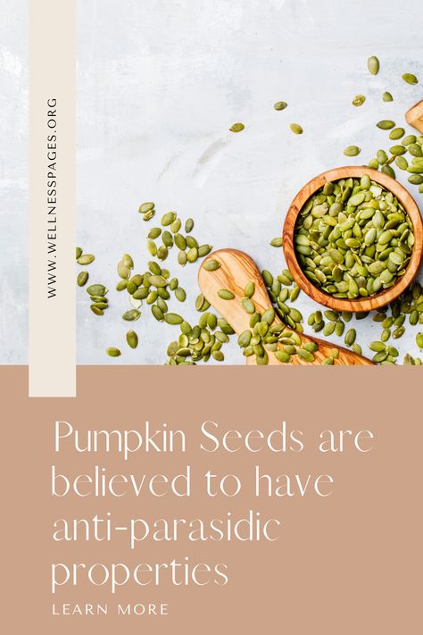 Pumpkin seeds contain compounds like cucurbitacin that have traditionally believed to have anti-parasitic properties. Some studies suggest that the compounds in pumpkin seeds may have antiparasitic effects against intestinal parasites like tapeworms and roundworms. Pumpkin Seeds For Parasites, Antiparasitic Food, Can Pumpkin, Parasitic Worms, Intestinal Parasites, Canned Pumpkin, Pumpkin Seeds, Wellness Tips, Mocktails