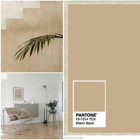 Paleta de color en decoración Asian Paint Design, Pantone Color Guide, Pantone Colours, Hall Colour, Colorful Patio, Pantone Colour Palettes, Apartment Goals, Creative Web Design, Design Del Prodotto