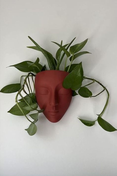 Head Plant Pot, Face Pots, Red Succulents, Face Wall, Dream Apartment Decor, Face Planters, Head Planters, Clay Faces, Unique Planter