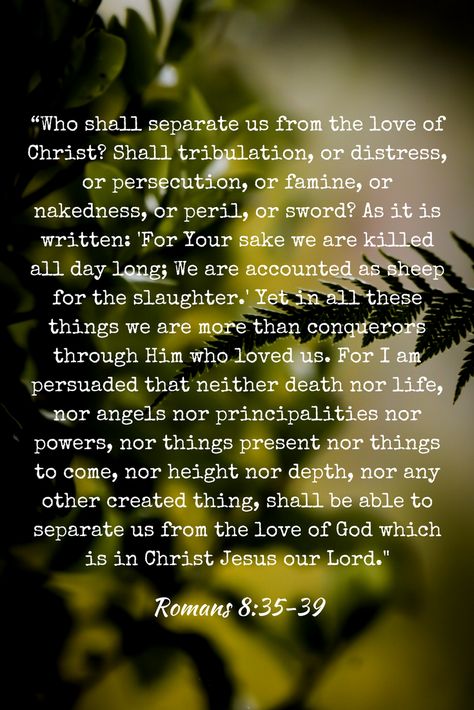 Romans 8:35-39, Greetings English, Romans 8 35, Christian Scriptures, Romans 8:31, Faith Is The Substance, Amplified Bible, Bible Stuff, Biblical Verses