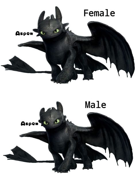 Female Night Fury, Toothless And Light Fury, Light Fury, Httyd Dragons, Dragon Trainer, Night Fury, Cpr, Purple Eyes, Toothless