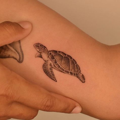 Tattoo Ideas Sea Turtle, Sea Turtle Tattoo Design, Small Turtle Tattoo, Turtle Tattoos, Surf Tattoo, Sea Turtle Tattoo, Small Turtle, Turtle Tattoo Designs, Tattoo Spots