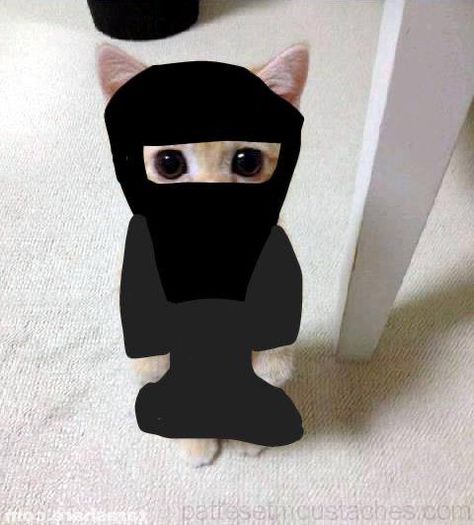 Niqab, Black