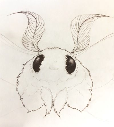 Moth Drawing Cute, Cute Moth Drawing, Moth Drawing, Cute Moth, Moth Art, Arte Sketchbook, Cute Animal Drawings, Cute Creatures, Doodle Drawings