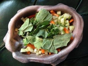 Example of a well-balanced bearded dragon salad with orange bell pepper, collard greens, and cucumber. Bearded Dragon Salad, Bearded Dragon Terrarium Ideas, Bearded Dragon Terrarium, Bearded Dragon Food, Bearded Dragon Cage, Orange Bell Pepper, Bearded Dragon Habitat, Bearded Dragon Diet, Diy Beard