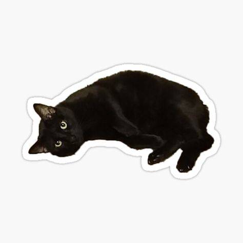 Psychology Wallpaper, Cats Stickers, Soft Kitty Warm Kitty, Kindle Stickers, Black Cat Sticker, Funny Cat Wallpaper, Scrapbook Printing, Stickers Redbubble, Folder Design