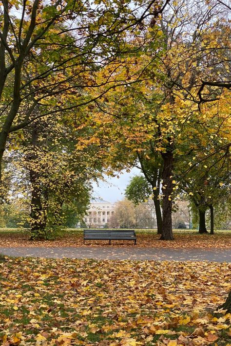 Autumn, Fall, Park Bench, Autumn Leaves, Autumn Walk, Regent's Park, London, Autumn in London, Orange Leaves, Regents Park London, Paradise Hotel, Autumn Walk, Living In England, Walks In London, Regents Park, Fallen London, London Calling, Hyde Park