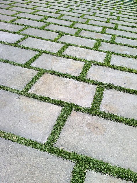 Grass And Pavers, Grass Paving, Grass Driveway, Paver Ideas, Grass Pavers, Concrete Work, Garden Pavers, Paving Ideas, Court Yard