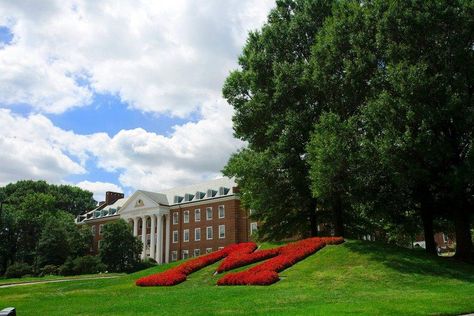 University of Maryland, College Park: ranked 14th in top public colleges. Maryland University, College Park Maryland, College Sweethearts, College Guys, Maryland Terrapins, College Essentials, University Of Maryland, Dream School, College Park