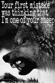 Not a sheep ... not a wolf either ... I'm a sheepdog! (h/t Colonel Dave Grossman!) Wolf Quote, Lone Wolf Quotes, Lion Quotes, Wolf Quotes, Wolf Spirit Animal, She Wolf, Wolf Pictures, Wolf Spirit, Warrior Quotes