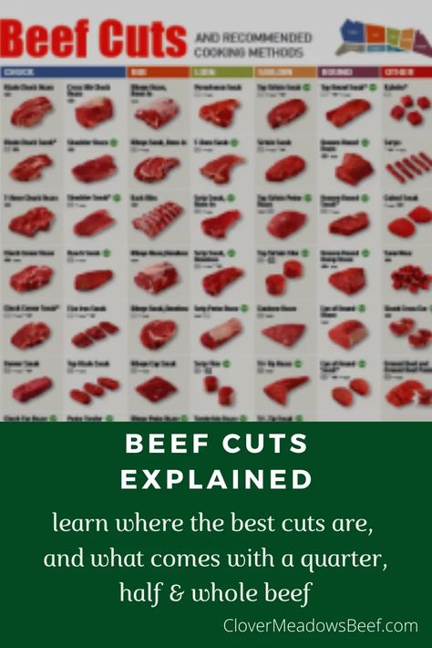 Cuts of Beef: What Cuts Do You Get With a Quarter or Half Beef? Beef Cuts Diagram, Beef Cuts Chart, Delmonico Steak, Expensive Steak, Different Cuts Of Beef, Cuts Of Beef, Beef Steak Recipes, Steak Tips, Ny Strip