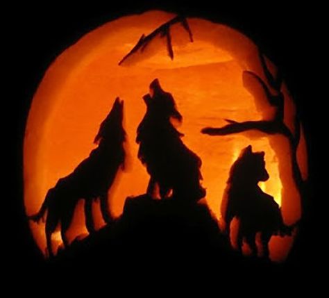 11 creative pumpkins carved to look like wildlife Pumpkin Carving Stencils Templates, Disney Pumpkin Carving, Scary Halloween Pumpkins, Pumkin Carving, Halloween Pumpkin Carving Stencils, Creative Pumpkin Carving, Amazing Pumpkin Carving, Disney Pumpkin, Scary Pumpkin Carving