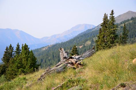 South Mount Elbert Trail - Right Kind Of Lost Mount Elbert, Twin Lakes, Continental Divide, The Rocky Mountains, Forest Service, Tree Line, Topographic Map, Round Trip, Lake View