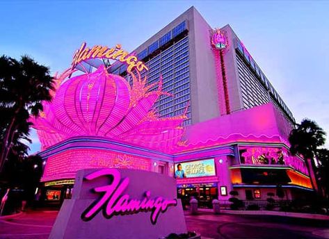 Flamingo Showroom Las Vegas - Events and Shows Flamingo Vegas, Flamingo Casino, Flamingo Hotel Las Vegas, Las Vegas Pool, Flamingo Las Vegas, Vegas Pool, Money Video, Pool Play, Flamingo Hotel