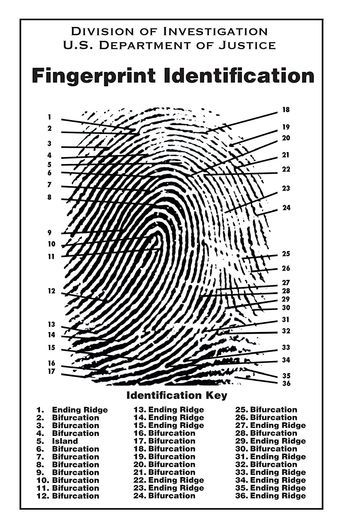 Types Of Fingerprints, Dna Fingerprinting, Crayola Coloring Pages, Fingerprint Art, Chemistry Notes, Pythagorean Theorem, School Leadership, Forensic Science, Stem Projects