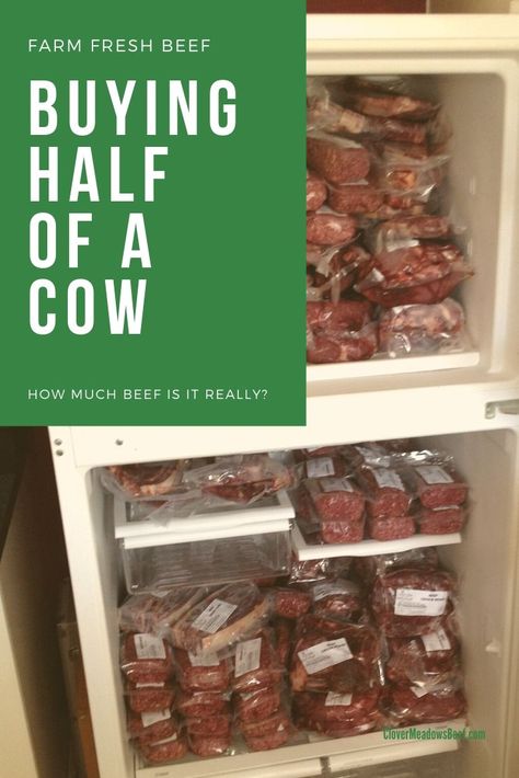 Buying half a cow. How much beef is it? - Clover Meadows Beef Beef Cuts Chart, Cow Meat, Homesteading Animals, Butcher's Cut, Cuts Of Beef, Beef Cow, Meat Processing, Freezer Food, Meat Lover