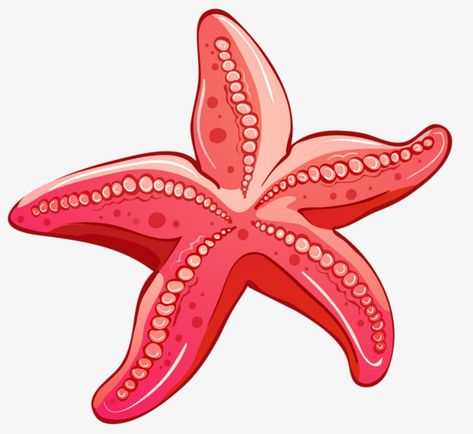 Starfish Clipart, Starfish Drawing, Cartoon Png Transparent, Happy Birthday Png, Fish Clipart, Halloween Clips, Stella Marina, Seashell Painting, Cartoon Png