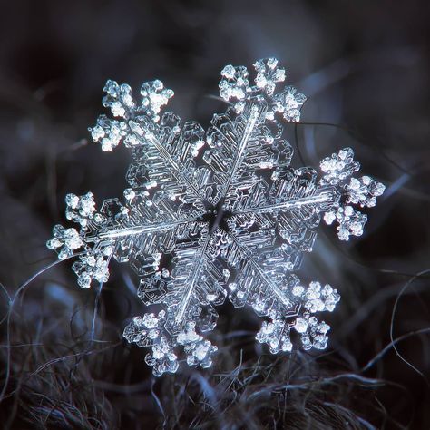 Macro photos of real snowflakes - Alexey Kljatov photography on Instagram #snowflakes #macro #crystals #decorations #pattern #aestetic #photos #real #snow #wallpaper #background #ice #christmas #photography #art Snowflake Photography, Frozen Bubbles, Foto Macro, Snowflake Images, Snowflakes Real, Snowflake Photos, Oc Pokemon, Snow Crystal, Winter Szenen