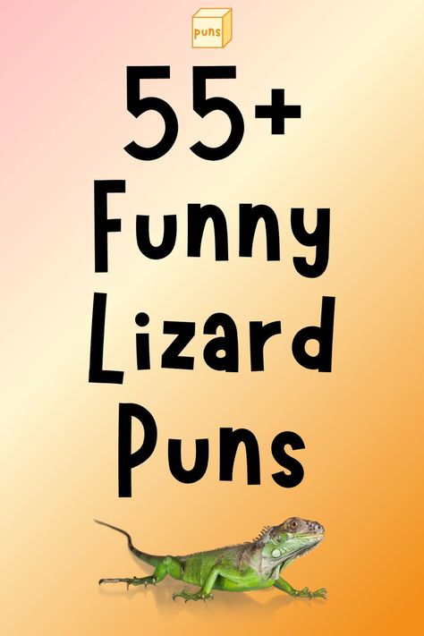 Lizards are reptiles with thousands of species. Some are pets, while others are in the wild. Read the best lizard puns for your next encounter. Funny Lizards, Cute Lizard, Pet Signs, Jokes For Kids, Lizards, Funny Puns, In The Wild, Reptiles, Puns