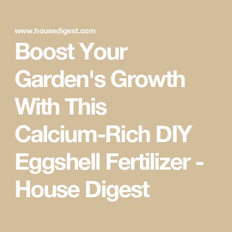 Boost Your Garden's Growth With This Calcium-Rich DIY Eggshell Fertilizer - House Digest Eggshell Fertilizer, Diy Fertilizer, Plant Fertilizer, Plant Benefits, Fertilizer For Plants, Liquid Fertilizer, Acetic Acid, Distilled White Vinegar, Chemical Reactions