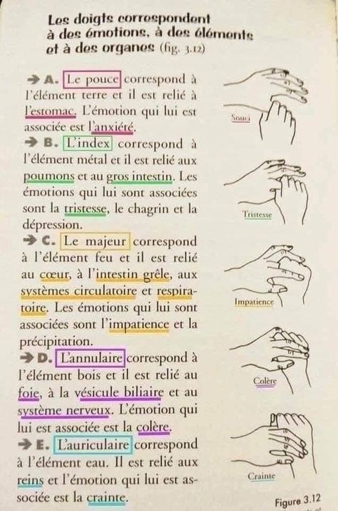 Le Jin Shin Jyutsu se base sur l'existence d'une énergie vitale universelle. Lorsque cette énergie est bloquée, nos corps physique, émotionnel et mental sont en déséquilibre. Cette #techniquejaponaise utilise les doigts de la main pour #guérir et stabiliser les #émotions...👇🏻 #JinShinJyutsu Le Mal A Dit, Psychology Love, Reflexology, Acupressure, Tai Chi, Acupuncture, Positive Attitude, Ayurveda, Positive Affirmations