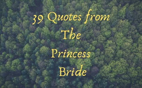 Princess Bride Themed Wedding, Princess Bride Meme, Princess Bride Tattoo, Princess Bride Funny, Princess Bride Buttercup, Princess Bride Quotes, Princess Bride Movie, Princess Bride Wedding, Funny Princess