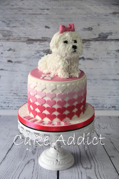 Maltese cake by Cake Addict Maltese Cake, Puppy Birthday Cakes, Puppy Cake, Dog Birthday Cake, Animal Cakes, Dog Cakes, Puppy Birthday, Dog Cake, Cat Cake