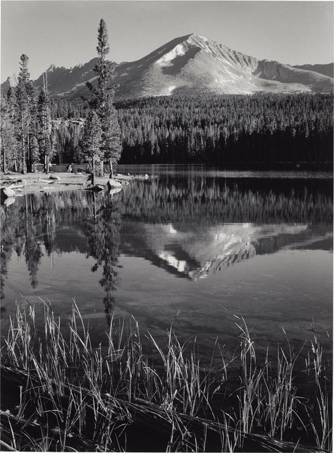 Kern River, Sequoia National Park California, Straight Photography, Taking A Picture, National Park California, Moraine Lake, Black And White Landscape, Sequoia National Park, History Of Photography