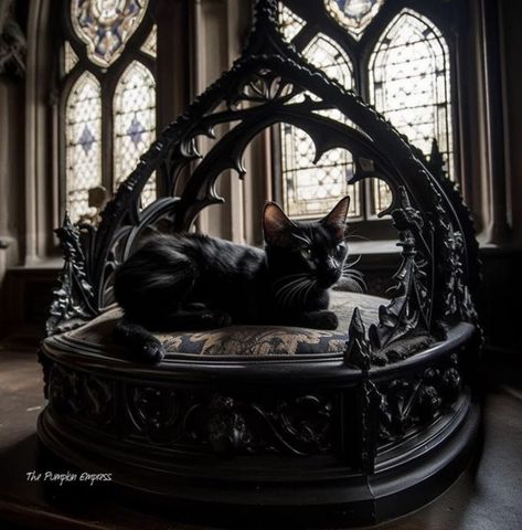 Gothic House Decor, Home Sweet Hell, Goth Cat, Victorian Castle, Gothic Cat, Gothic Decor Bedroom, Cat Castle, Cat Bedroom, Halloween Goth