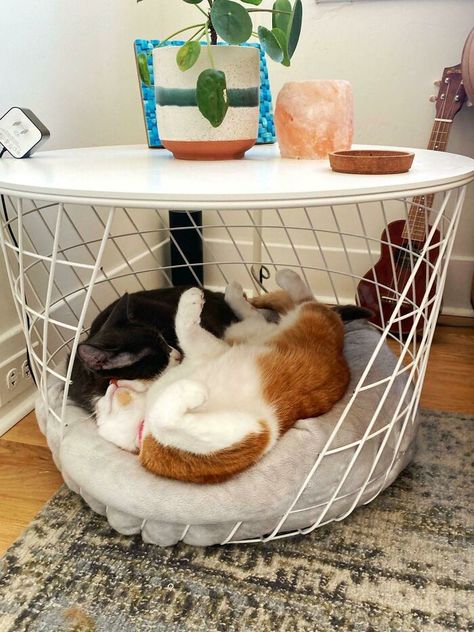 I Hacked An Kvistbro Table To Be A Cute Pet Crate For My Dog (And Cats) Cat House Furniture, Cat Ikea Diy, Apartment With Cat Ideas, Ikea Hack Dog Bed, Cat Tree Living Room Ideas, Cat Furniture In Living Room, Cat Place Ideas, Room With Cats Ideas, Diy Cat Crate Ideas