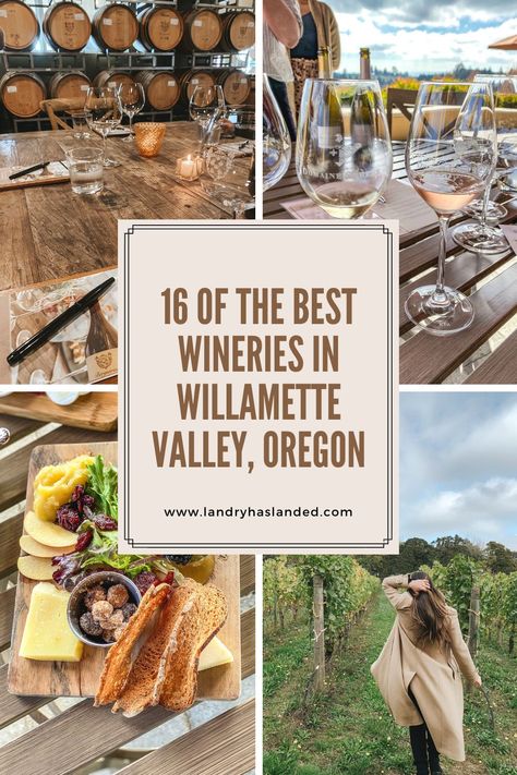 best wineries in Willamette Valley. Willamette Valley wineries in Oregon Willamette Valley Wineries, Willamette Valley Oregon Wine Tasting, Pnw Trip, Oregon Coast Camping, Willamette Valley Oregon, Oregon Wineries, Mcminnville Oregon, Seattle Trip, Oregon Trip