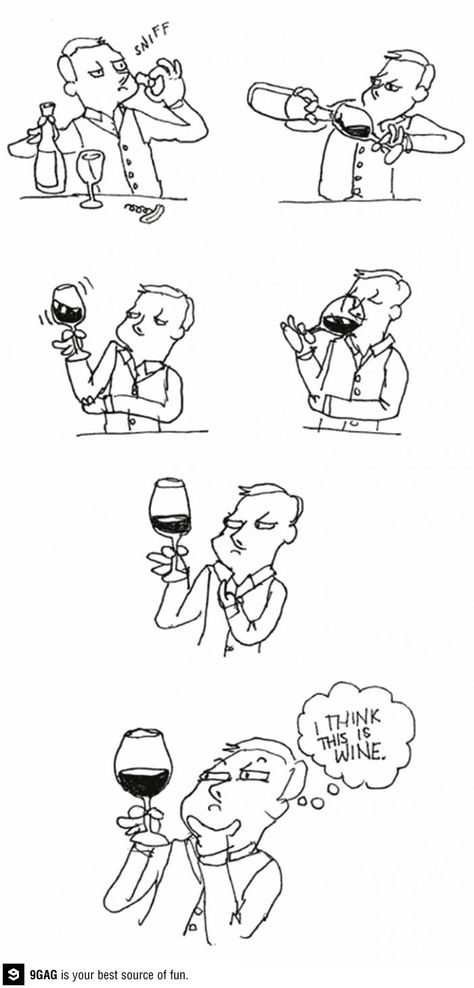 I think this is wine! Wine Jokes, Wine Taster, Wine Tasting Party, Wine Connoisseur, Drinking Wine, Tasting Party, Wine Quotes, Wine Art, Wine Parties