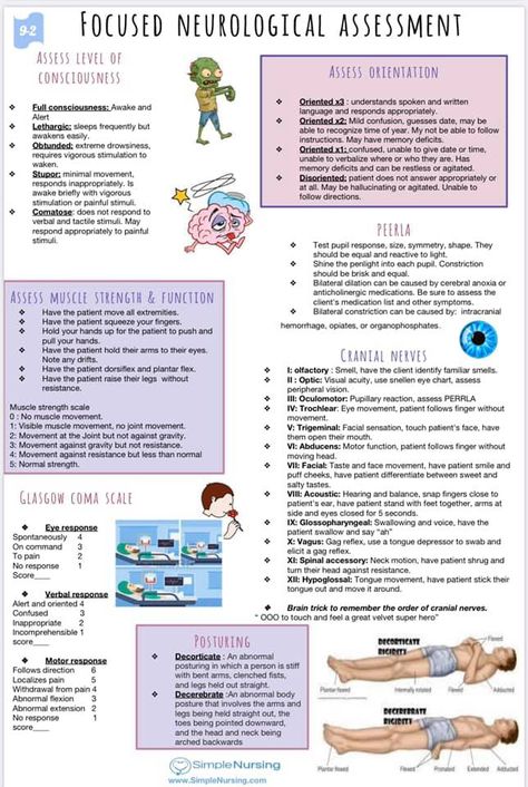 Clinical Examination Notes, Neurological Assessment Nursing, Neurology Nurse Practitioner, Types Of Cancers Nursing, Mobility Nursing Notes, Neuro Assessment Nursing, Neuro Physical Therapy, Nurse Practitioner Notes, Lpn Clinicals