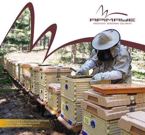 Backyard Beehive, Drone Bee, Raising Bees, Beekeeping Equipment, Bee Boxes, Bee Farm, Bee Keeper, Queen Bees, Bee Keeping