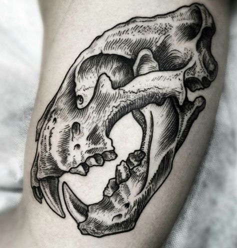 Tiger Skull, Bear Skull, Dinosaur Tattoos, Skeleton Tattoos, Cat Skull, Skull Tattoo Design, Wolf Tattoos, Tiger Tattoo, Black Ink Tattoos