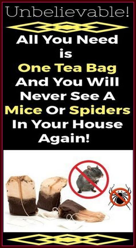 All You Need Is One Tea Bag and You Will Never See Mice or Spiders In Your House Again! Creating A Newsletter, Tea Bags, Alternative Medicine, Pest Control, Household Hacks, A Mouse, Spiders, Tea Bag, Things To Know