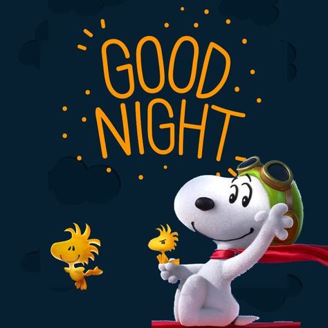 Snoopy | Facebook Good Night Snoopy, Snoopy Nails, Goodnight Snoopy, Good Night Sleep Tight, Peanuts Characters, Snoopy Pictures, Good Night Greetings, Snoopy Love, Beer Humor