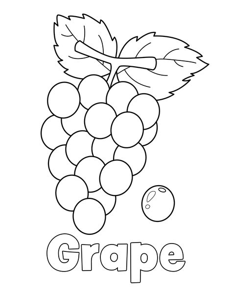 Grape Coloring Page from LittleBeeFamily.com Grape Drawing, Coloring Pages Activities, Nativity Coloring Pages, Vegetable Coloring Pages, Snowman Coloring Pages, New Year Coloring Pages, Santa Coloring Pages, Hanging Craft Ideas, Family Coloring Pages