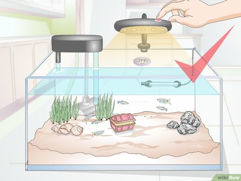 Community Fish Tank, Big Fish Tanks, Community Tanks, Easy Pets, Live Fish, How To Set Up, Fish Tank, Pet Owners, Baby Mobile